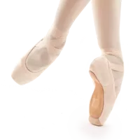 Gaynor Minden Pointe Shoe