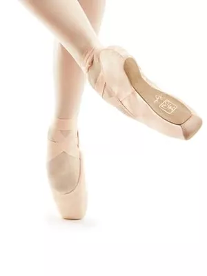 Gaynor Minden Lyra Pointe Shoe